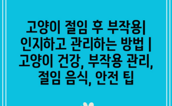 고양이 절임 후 부작용| 인지하고 관리하는 방법 | 고양이 건강, 부작용 관리, 절임 음식, 안전 팁