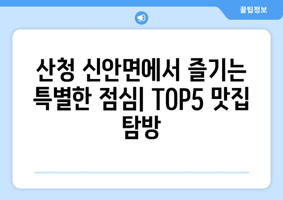 경상남도 산청군 신안면 점심 맛집 추천 한식 중식 양식 일식 TOP5