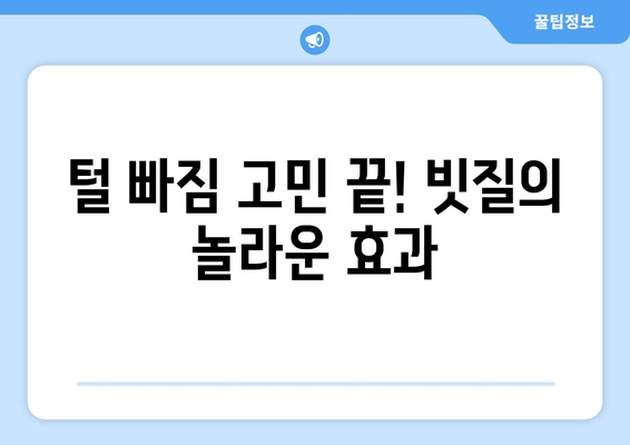 반려묘 건강을 위한 필수 케어| 고양이 빗질의 중요성과 올바른 방법 | 고양이 털 관리, 털 빠짐, 피부 건강, 빗질 팁