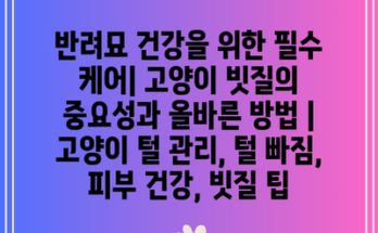 반려묘 건강을 위한 필수 케어| 고양이 빗질의 중요성과 올바른 방법 | 고양이 털 관리, 털 빠짐, 피부 건강, 빗질 팁