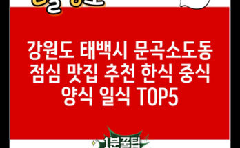 강원도 태백시 문곡소도동 점심 맛집 추천 한식 중식 양식 일식 TOP5