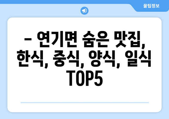 세종시 세종특별자치시 연기면 점심 맛집 추천 한식 중식 양식 일식 TOP5