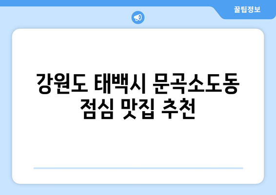 강원도 태백시 문곡소도동 점심 맛집 추천 한식 중식 양식 일식 TOP5