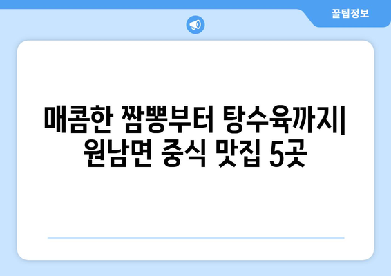 충청북도 음성군 원남면 점심 맛집 추천 한식 중식 양식 일식 TOP5