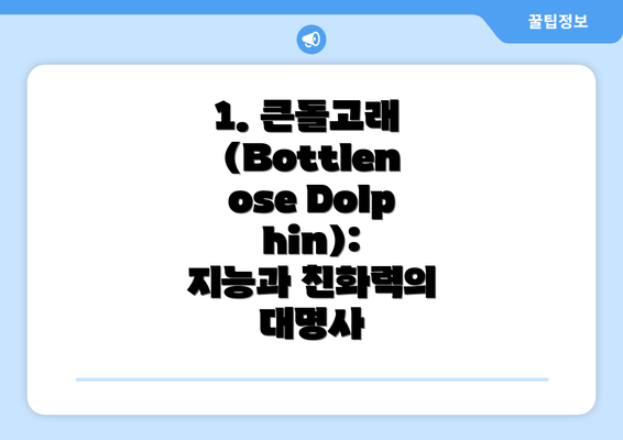 1. 큰돌고래 (Bottlenose Dolphin): 지능과 친화력의 대명사