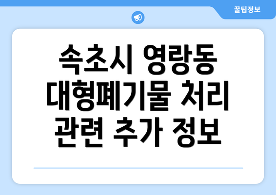 속초시 영랑동 대형폐기물 처리 관련 추가 정보