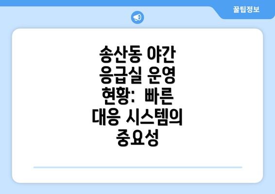 송산동 야간 응급실 운영 현황:  빠른 대응 시스템의 중요성