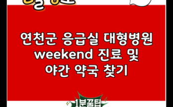 연천군 응급실 대형병원 weekend 진료 및 야간 약국 찾기