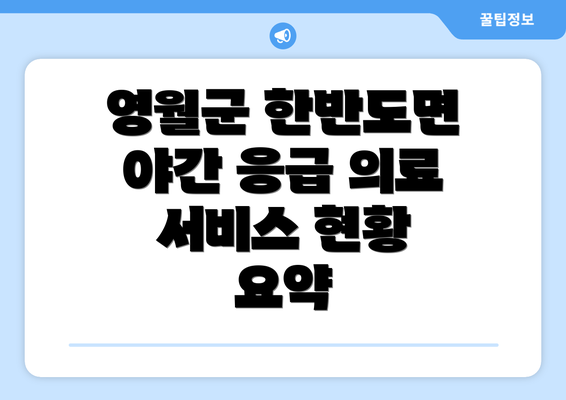 영월군 한반도면 야간 응급 의료 서비스 현황 요약