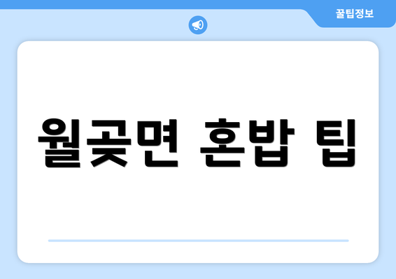 월곶면 혼밥 팁