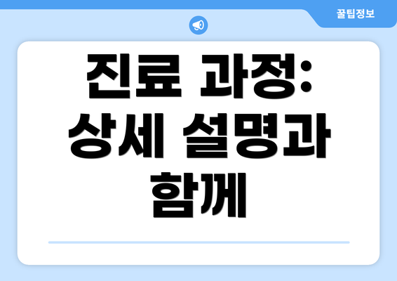 진료 과정:  상세 설명과 함께