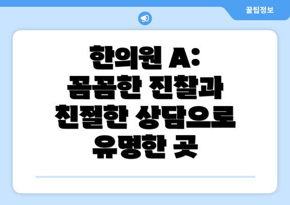 한의원 A: 꼼꼼한 진찰과 친절한 상담으로 유명한 곳